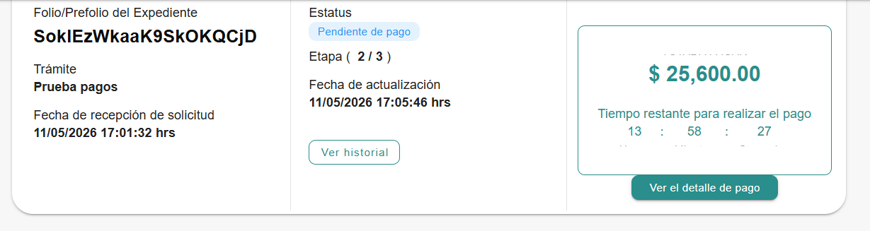 Vista del expediente en estatus "Pendiente de pago" (etapa 2/3) con datos del trámite, monto a pagar, timer de tiempo restante y botón "Ver el detalle de pago"