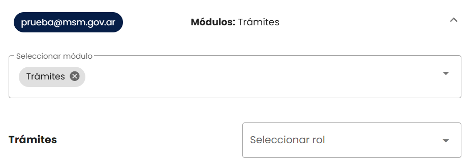 Selector de módulos con chips y lista desplegable de rol por módulo