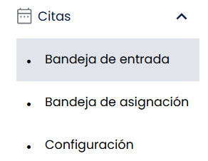 Subsección Bandeja de entrada dentro de Citas